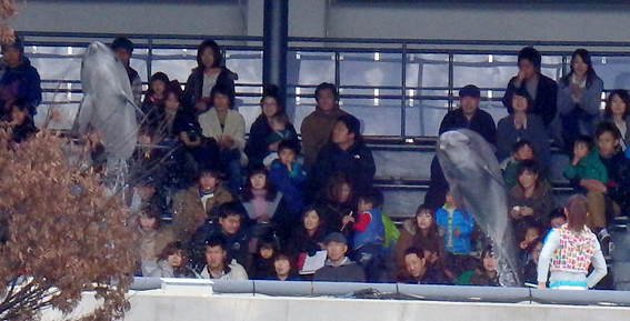 d0218056_8295164.jpg