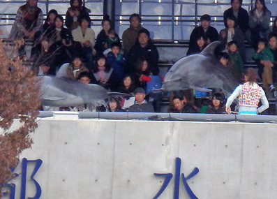 d0218056_8302412.jpg