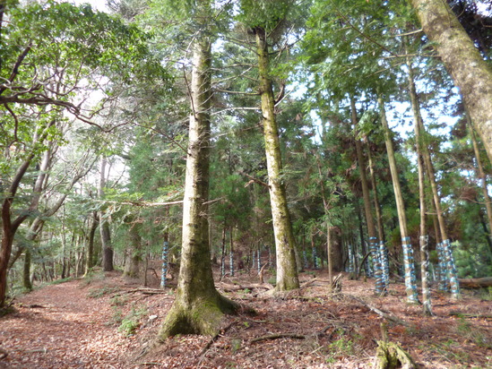 d0231858_2143519.jpg