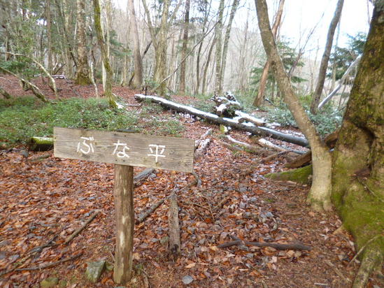 d0231858_21444860.jpg