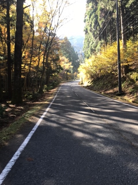 c0214359_2233743.jpg