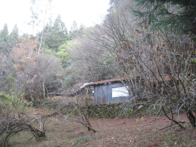 c0219866_10271257.jpg