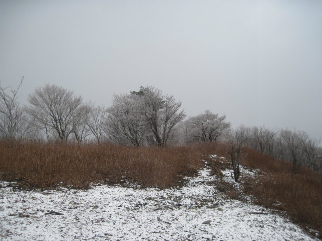 c0219866_1034325.jpg