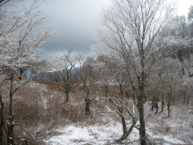 c0219866_10355042.jpg