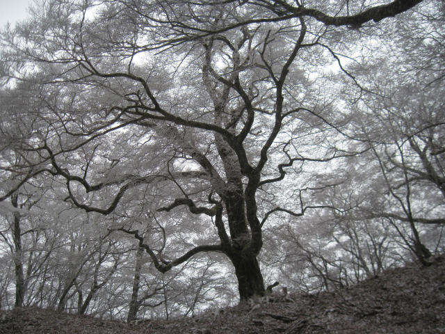 c0219866_10363657.jpg