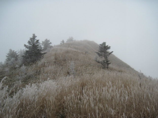 c0219866_1037249.jpg
