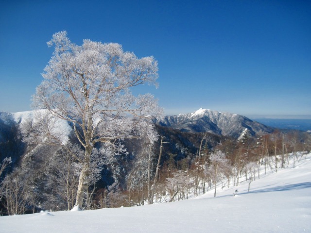 c0219866_17152639.jpg