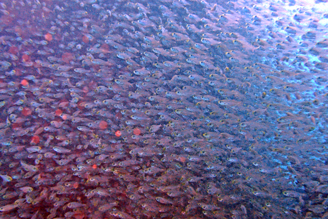 b0137083_19155472.jpg