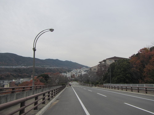 a0251786_2232012.jpg