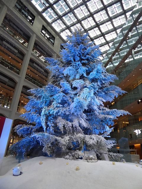 b0287088_16534944.jpg