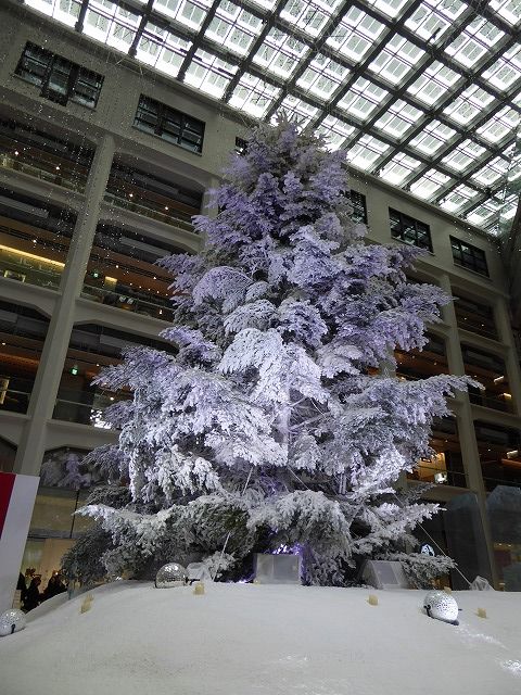 b0287088_165537100.jpg