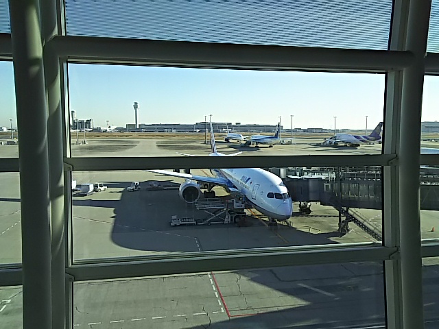 a0229491_851149.jpg