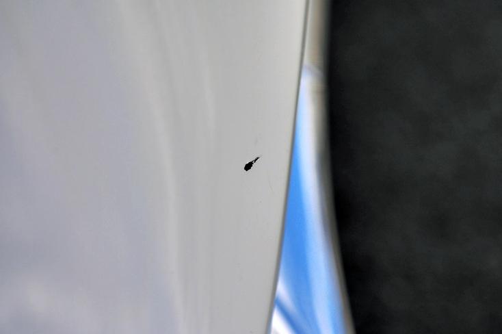 c0021694_16555985.jpg