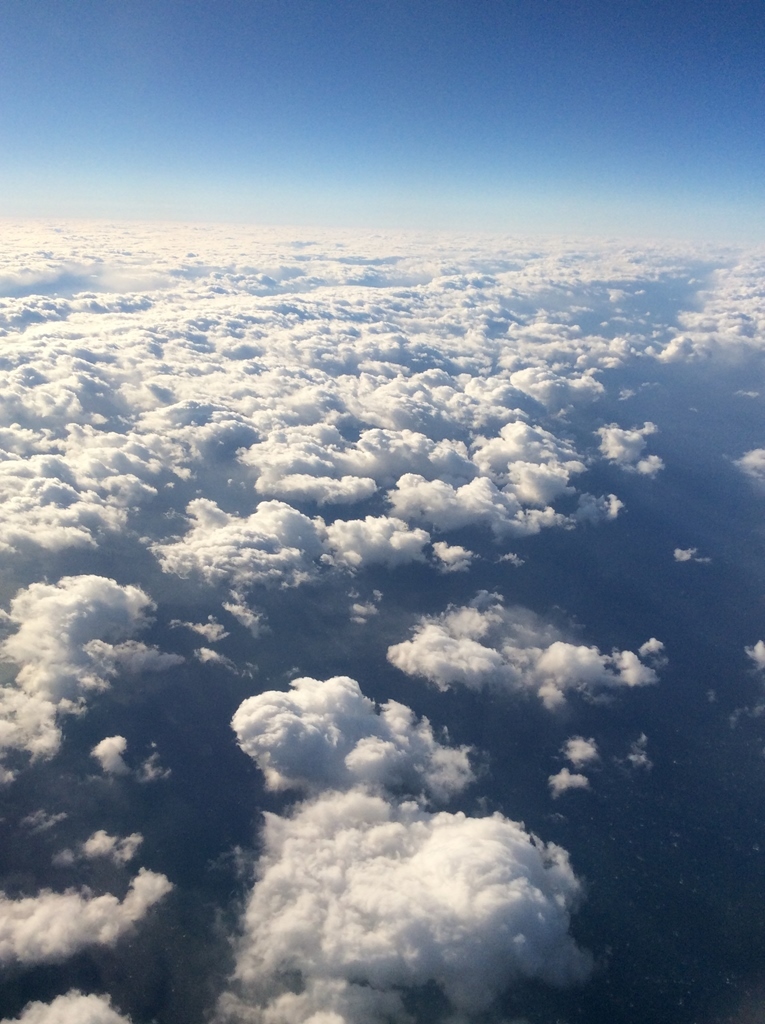 e0364195_22502874.jpg