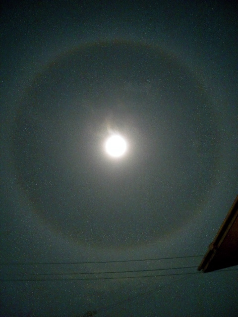 a0199297_23481934.jpg