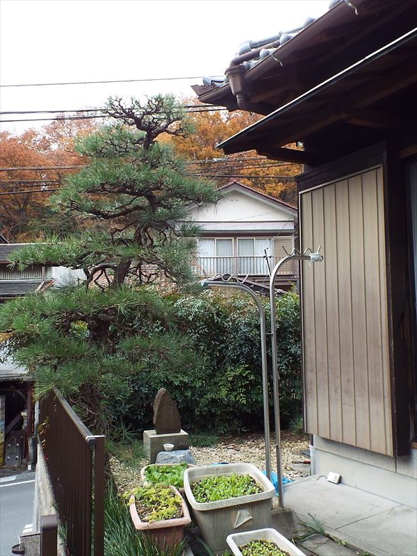 c0108198_17151064.jpg