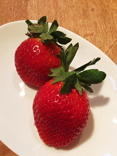 c0039501_16463175.jpg