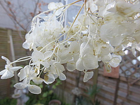 d0046702_673813.jpg