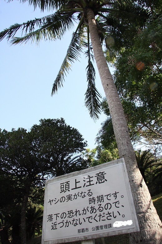d0136804_15034406.jpg