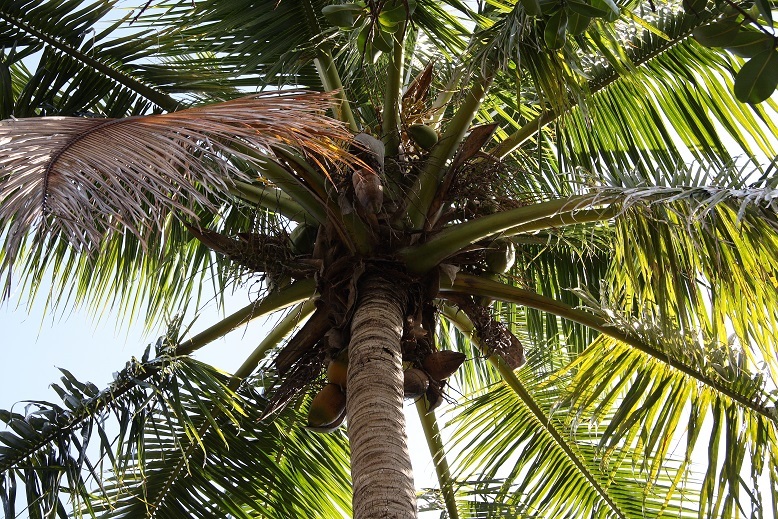 d0136804_15042813.jpg