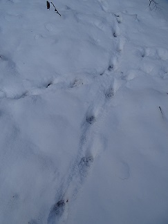 f0360815_15455863.jpg
