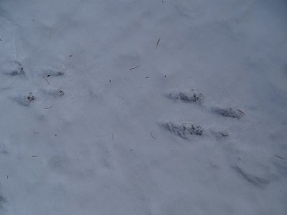 f0360815_15455938.jpg