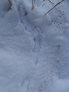 f0360815_15455980.jpg