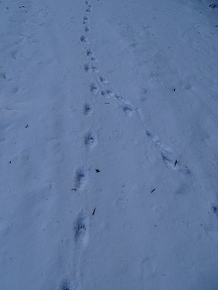 f0360815_15460019.jpg