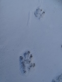 f0360815_15460098.jpg