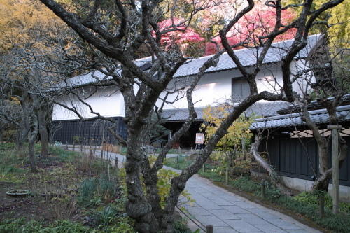 b0285619_20104587.jpg