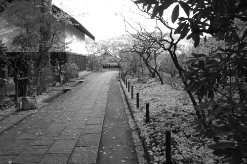 b0285619_20113160.jpg