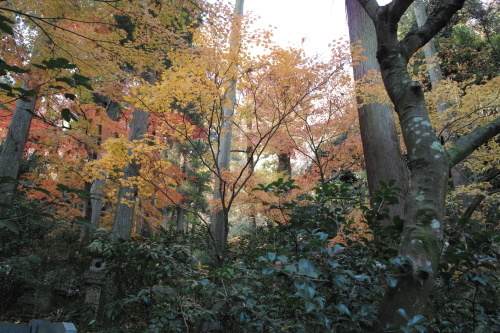 b0285619_20151308.jpg