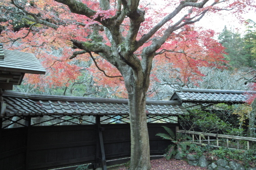 b0285619_20213973.jpg