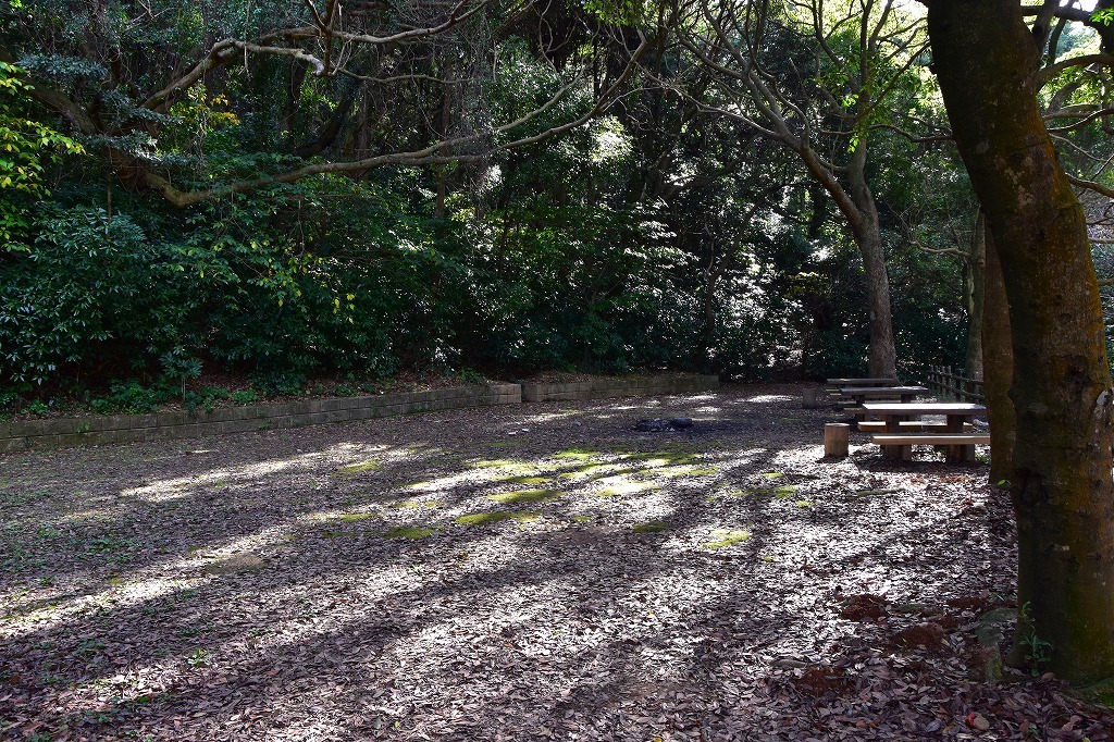 f0174419_23223633.jpg