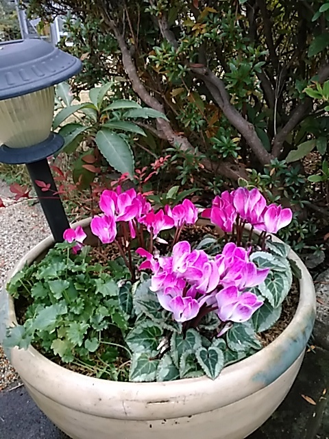 f0354923_20161537.jpg