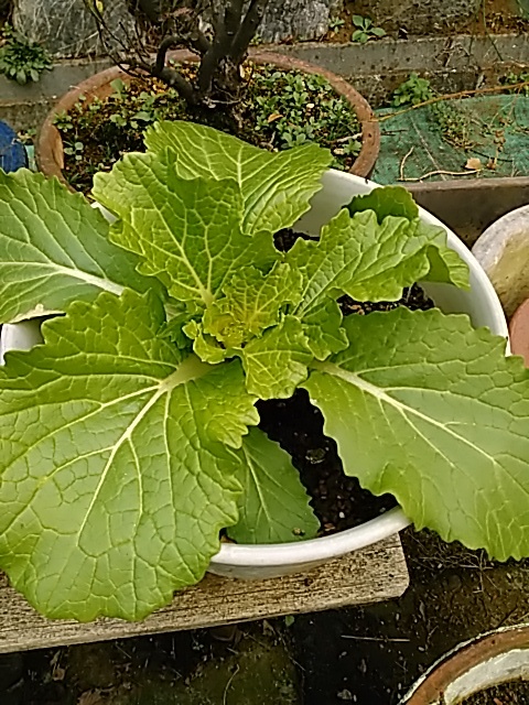 f0354923_20163830.jpg