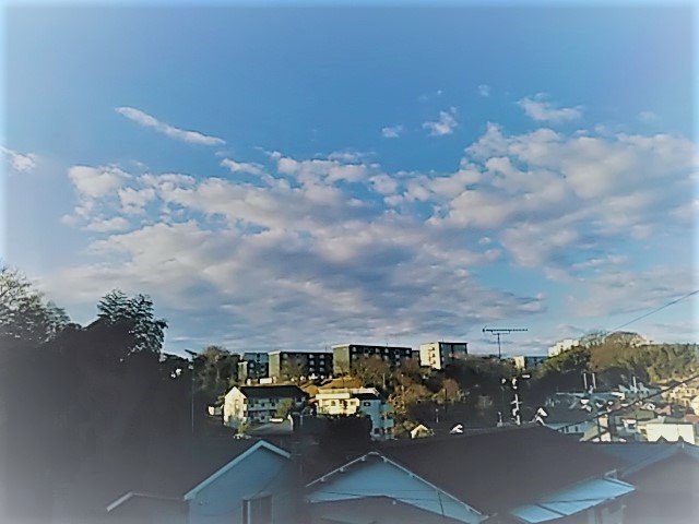 f0354923_20551011.jpg