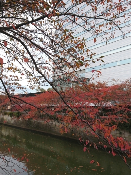 b0312126_23265859.jpg