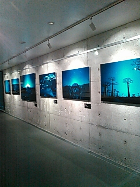 d0288435_15165228.jpg