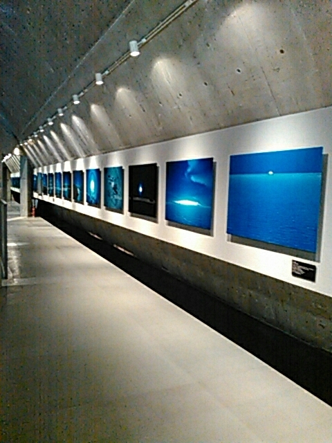 d0288435_15165496.jpg