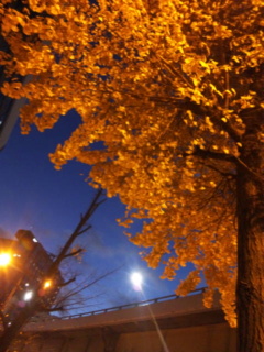c0056437_1641319.jpg