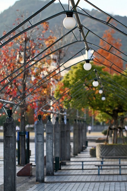 a0242438_21545483.jpg