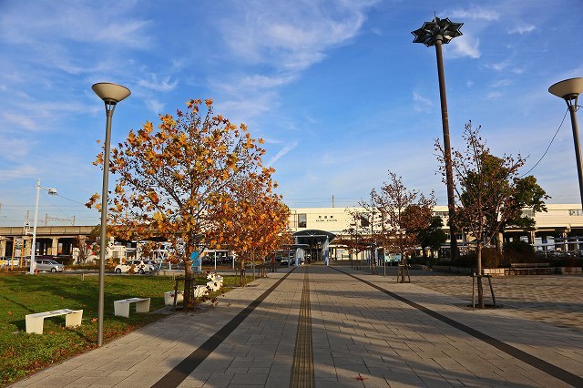 a0242438_21545569.jpg