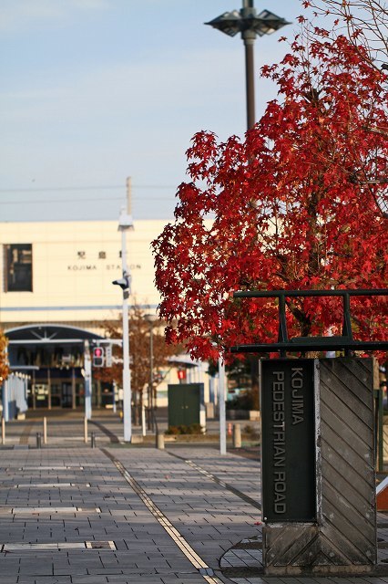 a0242438_21555309.jpg