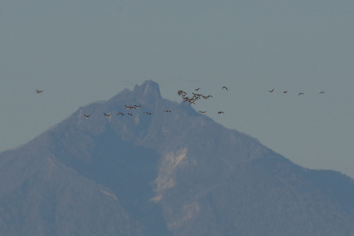 b0247838_1214380.jpg