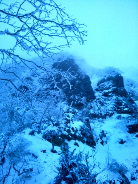 d0107938_9491474.jpg