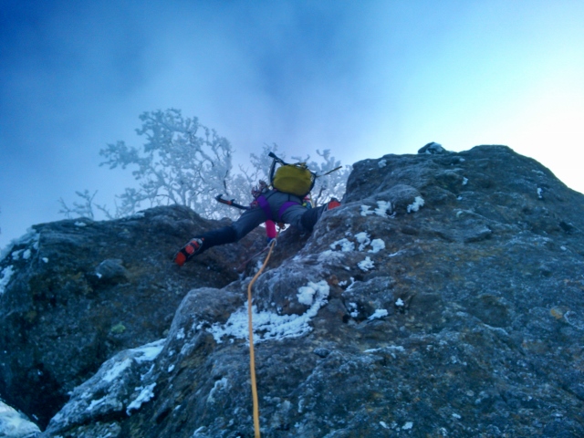 d0107938_9555559.jpg