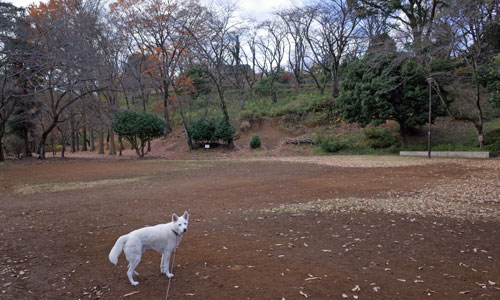 a0117039_2139083.jpg