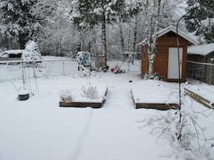 b0090654_983729.jpg