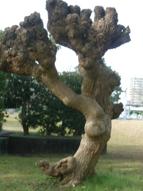 e0278968_20151668.jpg